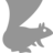 FontSquirrel's avatar