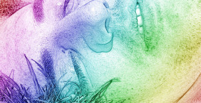 How to get rid of Intoxications