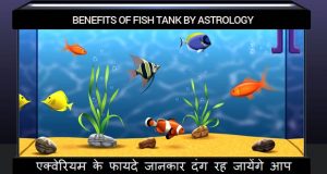 Ekverium benefits right direction by astrology